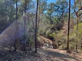 0040 County Road 302 - Photo 23