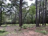0040 County Road 302 - Photo 3