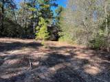 0040 County Road 302 - Photo 31