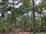 0040 County Road 302 - Photo 6