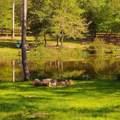 250 Bobby Baer Road - Photo 3