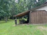 141 Walnut Loop Loop - Photo 10