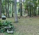 141 Walnut Loop Loop - Photo 13