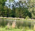 141 Walnut Loop Loop - Photo 46