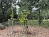17300 Sweed Road - Photo 31