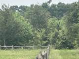 0 County Road 269 - Photo 2