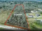 33326 Blue Marlin Drive - Photo 1