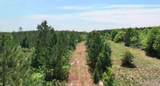 00068 Sh 249 - Photo 10