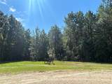 LOT 18 Piney Creek Subd - Photo 1