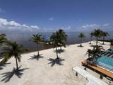  Bluzen On Caye Caulker - Photo 35