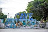  Bluzen On Caye Caulker - Photo 9