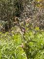 0 Dottie Lane - Photo 8