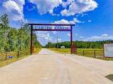 9010 Carter Ranch Road - Photo 3