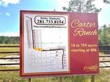 9010 Carter Ranch Road - Photo 4