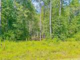9010 Carter Ranch Road - Photo 6