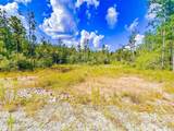 9010 Carter Ranch Road - Photo 7