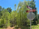 4-11-59 Sundog Road - Photo 5