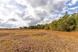 1250 Ladewig Lane - Photo 14