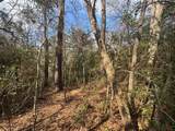 Lot 219 Mallard Drive - Photo 11