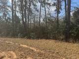 Lot 219 Mallard Drive - Photo 6