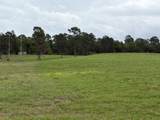Lot 251 Lakeland Ranch - Photo 2