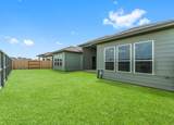 32506 Ebony Jewelwing Court - Photo 23