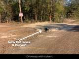 12345 County Road 414 - Photo 12