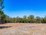 12345 County Road 414 - Photo 14