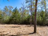 12345 County Road 414 - Photo 15