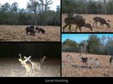 12345 County Road 414 - Photo 22