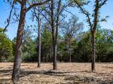 12345 County Road 414 - Photo 3