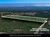 12345 County Road 414 - Photo 7