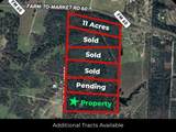 12345 County Road 414 - Photo 9