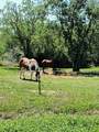 0000 6th Street - Photo 12