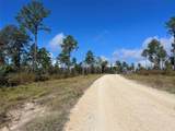 TBD 7 Reveille Road - Photo 9