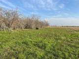 4196 Peters San Felipe Road - Photo 5