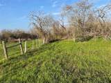 4196 Peters San Felipe Road - Photo 6