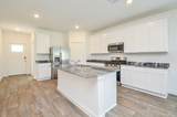 8047 Marchese Drive - Photo 5