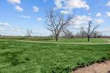 7938 Marconi Corsco Drive - Photo 19