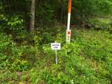 Lot 34 Dogwood Road - Photo 16