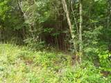 Lot 34 Dogwood Road - Photo 17