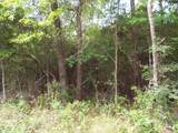 Lot 34 Dogwood Road - Photo 18