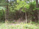 Lot 34 Dogwood Road - Photo 19