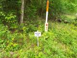 Lot 34 Dogwood Road - Photo 4