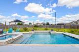 30002 Aralia Drive - Photo 4