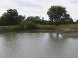 575 County Road 4850 - Photo 4