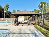 8226 Autumn Willow Drive - Photo 38