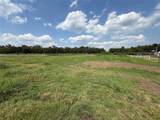 Tract 1 County Road 334 - Photo 6