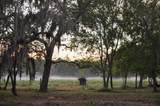 4261 County Road 506 - Photo 23