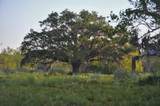 4261 County Road 506 - Photo 9